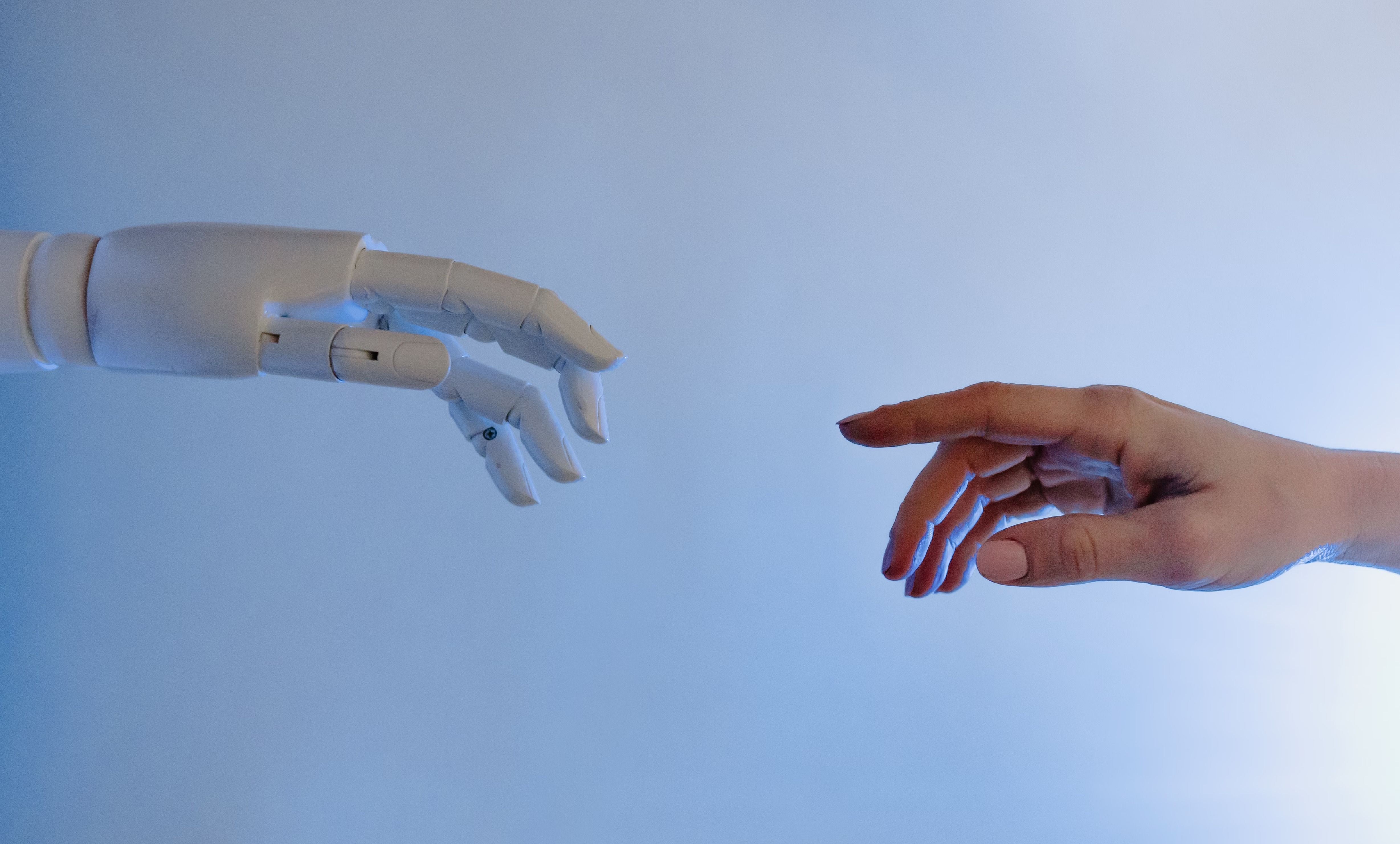 Understanding the Different Types of AI
